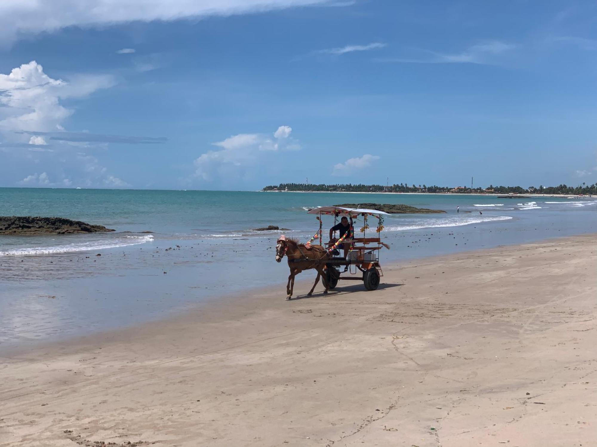 Carneiros Beach Resort Flat Tamandaré Εξωτερικό φωτογραφία